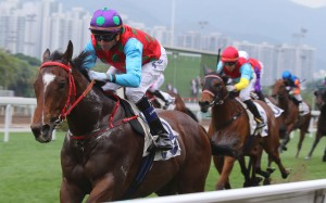 Douglas Whyte guides Healthy Luck to victory on debut at Sha Tin on Saturday. Photos: Kenneth Chan