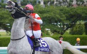 Some of Japan’s best gallopers seem to have a screw loose – we assess four great horses’ madness with our exclusive ‘red ribbon ratings’