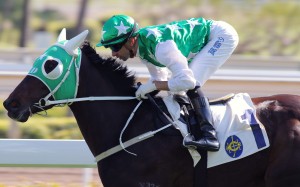Joao Moreira guides Pakistan Star to an easy win in the Griffin Trophy at Sha Tin on Tuesday. Photos: Kenneth Chan