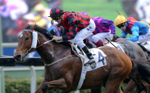 Zac Purton guides Ashkiyr to victory at Sha Tin on Sunday. Photos: Kenneth Chan
