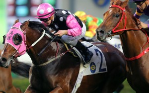 Beauty Generation ridden by Zac Purton won at Sha Tin earlier this month. Photos: Kenneth Chan