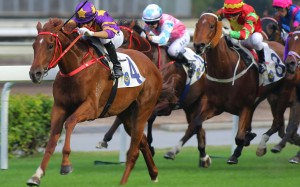 Joao Moreira guides Western Express to victory at Sha Tin in November. Photos: Kenneth Chan