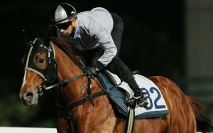 Joao Moreira gallops Rapper Dragon on Friday morning. Photos: Kenneth Chan