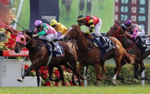 Aerovelocity wins the 2016 Hong Kong Sprint, beating Lucky Bubbles and Peniaphobia. But don’t expect to see any of these horses making the trip to Australia for The Everest. Photos: Kenneth Chan