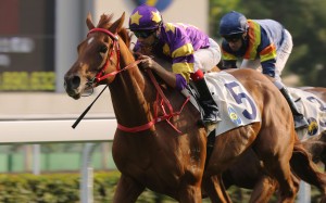 Joao Moreira steers Western Express to victory at Sha Tin on Sunday. Photos: Kenneth Chan