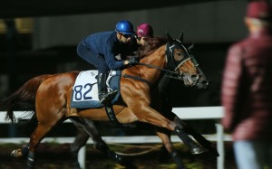 John Moore watches on as Joao Moreira works Rapper Dragon on Thursday morning. Photos: Kenneth Chan
