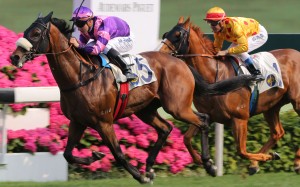 Dundonnell wins the Group Two Sprint Cup at Sha Tin in April 2015. Photo: Kenneth Chan