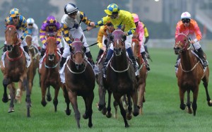 Werther (yellow) wins the 2016 Hong Kong Derby. Photo: Kenneth Chan