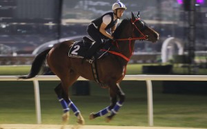 Amazing Kids works on the dirt track at Meydan on Friday morning. Photos: Kenneth Chan