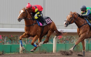 The five-year-old gelding looks in tremendous order and jockey Brett Prebble thinks he’s ready to take out Sunday’s feature after making the smart move to skip Dubai trip