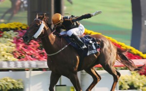 Able Friend sets sail with Joao Moreira aboard in the 2014 Group One Hong Kong Mile. Photos: Kenneth Chan.
