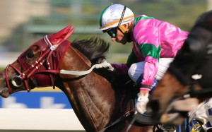 Douglas Whyte drives Magic Legend to victory at Sha Tin on Monday. Photos: Kenneth Chan