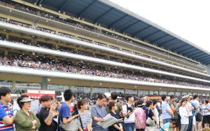 Fans at Seoul racecourse in September 2016. Photo: Kenneth Chan