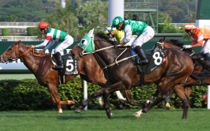 Pakistan Star, who was narrowly beaten by Neorealism last time out, will race once more this season. Photos: Kenneth Chan
