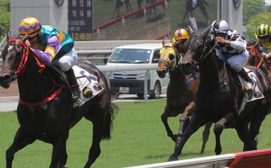 Joao Moreira guides Zero Hedge to victory at Sha Tin. Photos: Kenneth Chan
