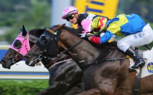 Zac Purton and Go Beauty Go narrowly beat Smiling Charm in the last race at Sha Tin on Sunday. Photos: Kenneth Chan
