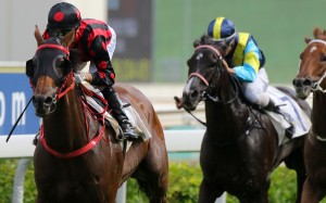 Joao Moreira guides Thewizardofoz to victory in the Group Three Premier Cup at Sha Tin on Sunday. Photos: Kenneth Chan