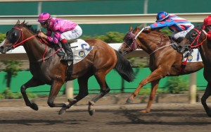 Joao Moreira wins his 169th race of the term aboard Sunny Win. Photos: Kenneth Chan