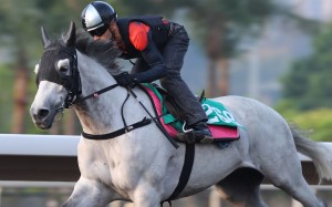 Joao Moreira rides Smart Union at trackwork. Photo: Kenneth Chan