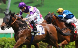 Chad Schofield guides All You Need to victory in July. Photos: Kenneth Chan