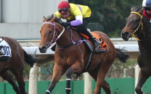 Exceptional Desire trials at Sha Tin in January. Photos: Kenneth Chan.