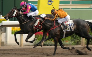 Tommy Berry and Spicy Kaka (left) hold off the fast-finishing Imperial Gallantry. Photos: Kenneth Chan