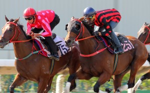 Mr Stunning (Nash Rawiller, left) and Thewizardofoz (Joao Moreira) run to the line in a trial on Friday morning. Photos: Kenneth Chan