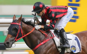 Thewizardofoz (Joao Moreira) finally lives up to his reputation, winning the Premier Cup at Sha Tin in June. Photos: Kenneth Chan