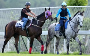 Trackwork riders try to get Pakistan Star running. Photos: Kenneth Chan