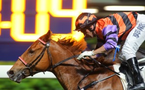 Neil Callan guides Speedy King to victory at Happy Valley on Wednesday night. Photos: Kenneth Chan