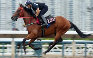 Eastern Express works on the all-weather track at Sha Tin. Photos: Kenneth Chan