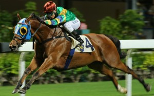 Keith Yeung guides Flying Tourbillon to victory in September 2016. Photos: Kenneth Chan