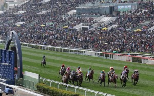 Follow live commentary on and off the track at the Hong Kong International Races in Sha Tin