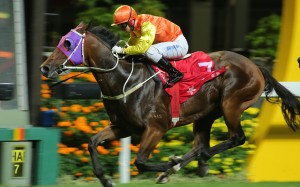 California Fortune scoots away for an all the way win for Matthew Chadwick on November 29. Photos: Kenneth Chan.