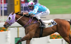 Nash Rawiller guides Midnite Promise to his only career victory in January 2016. Photo: Kenneth Chan