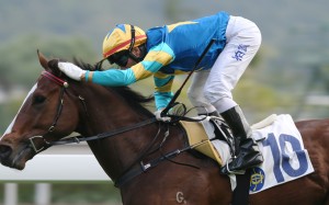 Brett Prebble gives Noble Steed a pat after winning on Sunday. Photos: Kenneth Chan