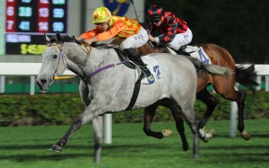 Hong Kong’s two biggest horses – Pingwu Spark and Good Standing – clash at Sha Tin on Sunday. Photos: Kenneth Chan
