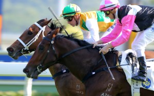 Sparkling Dragon (left) beats Win Beauty Win. Photos: Kenneth Chan
