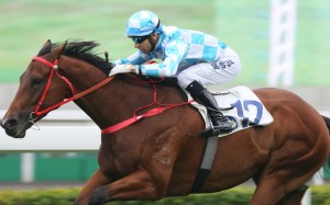 Conte (Joao Moreira) makes it three in a row at Sha Tin on Monday and promises plenty of more wins this season for John Size. Photos: Kenneth Chan