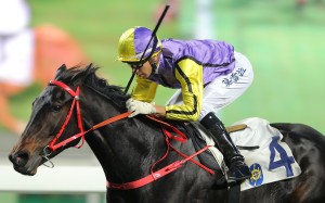 Joao Moreira encourages Time To Celebrate to victory at Sha Tin on Sunday. Photos: Kenneth Chan