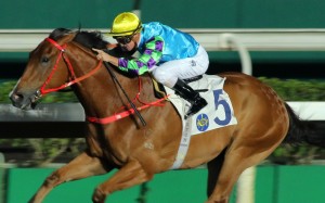 Zac Purton guides Pick Number One to victory at Sha Tin on debut. Photos: Kenneth Chan
