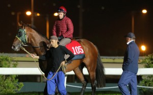 John Moore looks over Good Standing at trackwork on Thursday morning. Photo: Kenneth Chan