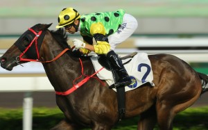Joao Moreira and Nothingilikemore. Photos: Kenneth Chan