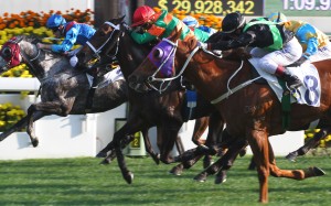 Douglas Whyte (green and orange silks) lifts Verbinsky to a narrow victory at Sha Tin on Sunday. Photos: Kenneth Chan