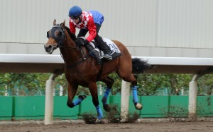 Money Money cruises to a trial win on the dirt in November. Photos: Kenneth Chan.
