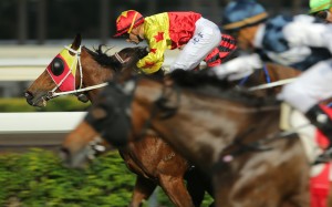 California Joy won the Class Three on December 23 but that speed blur is Sacred Ibis flying home for third. Photo: Kenneth Chan.