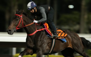 Remarkable stretches out at trackwork. Photo: Kenneth Chan