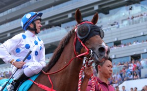 Contentment after winning the 2017 Champions Mile. Photos: Kenneth Chan.