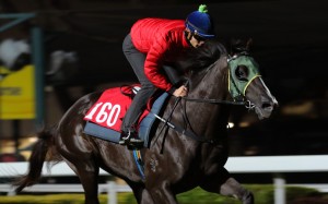Derek Leung gallops Ruthven on Thursday morning. Photos: Kenneth Chan