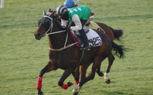Pakistan Star comes through a barrier trial without incident on Tuesday morning. Photos: Kenneth Chan
